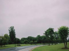 -盘龙城国家考古遗址公园