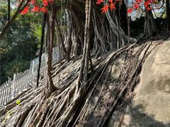 -乌山风景区