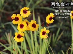 -天芳悦潭度假村温泉