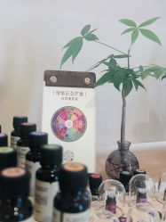 -东英经典SKIN&SPA