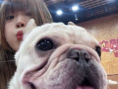 -和它·交个朋友·狗咖猫咖(爱琴海店)