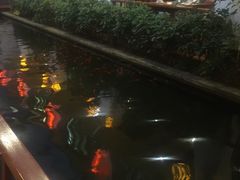 -小江南(老洋桥店)