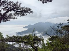 -小洲村