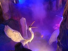 -长沙北辰洲际酒店-兰调全日餐厅