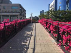 -汇兴源餐馆(小北路店)