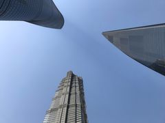-上海柏悦酒店·世纪100牛排馆