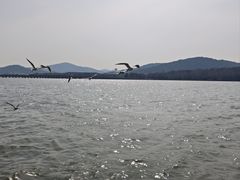 -水上明月·湖景餐厅