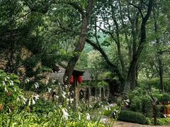 -云丘山景区