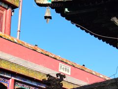 -普陀宗乘之庙