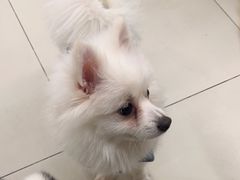 -怪兽屋·羊驼·猫咖·狗咖(俊华广场店)