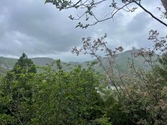-水峪民俗村