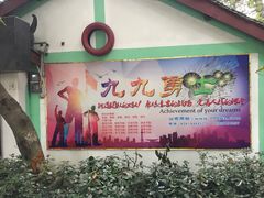 -勇士之星真人CS·团建·拓展(清水河公园店)