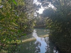 -同里国家湿地公园