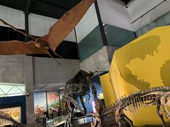 -湖南省地质博物馆