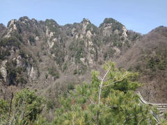 -王顺山国家森林公园