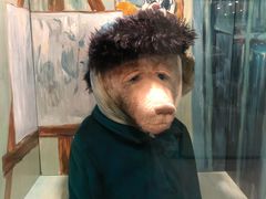 -济州岛泰迪熊博物馆