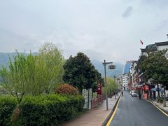 -后柳水乡
