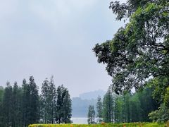 -三水森林公园