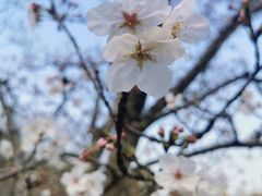 -上海植物园-4号门售票处