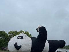 -苏州太湖国家湿地公园