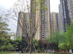 -沐仙湖湿地公园