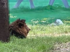 -秦皇岛野生动物园