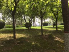 -咸阳湖景区-古渡公园