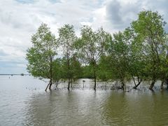 -东寨港红树林旅游区