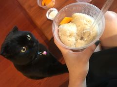 -PETKIT 小佩宠物·低压洗护·美容·寄养(安远店)