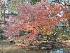 -中国茶叶博物馆(双峰馆区)