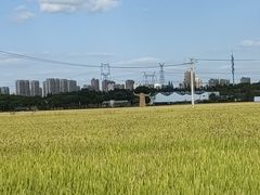 -嘉北郊野公园