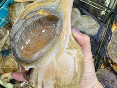 -醉壹号海鲜大排档(厦门店)