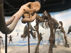 -辽宁古生物博物馆
