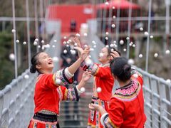 -九龙江国家森林公园