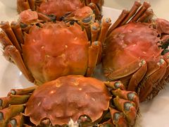 清蒸大闸蟹-王宝和酒家(黄浦店)