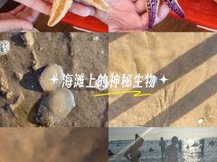 -威海国际海水浴场旅游区