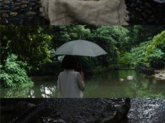 -成都市活水公园