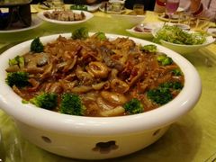 -丁老爷子苏香圆