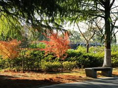 -石湖景区