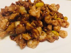 -丁老爷子苏香圆