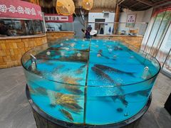 -耕渔小院·湖南鱼鲜(望城店)