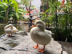 -顺德渔村·岭南一号