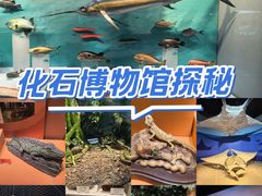 -天津自然博物馆