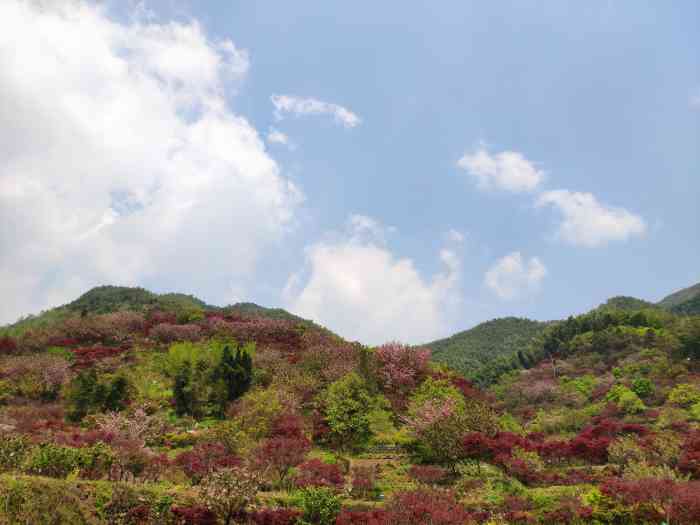 四明山杖锡风景区