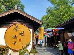 -天目湖山水园