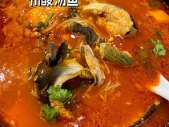 贵州酸汤鱼-贵州大厦贵州厅(樱花园西街店)