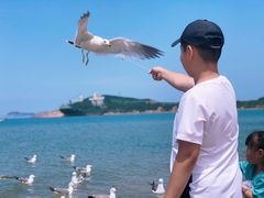 -海驴岛(荣成市)