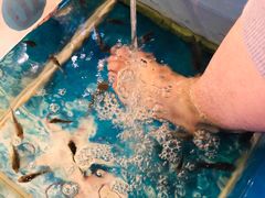 -泰国鱼疗足疗馆