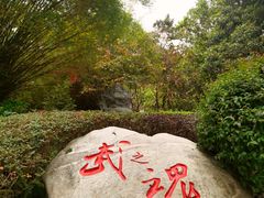 -深圳国际园林花卉博览园