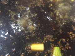 -水碾河肥兔火锅(水碾河店)